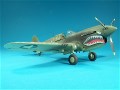 REVELL 1/32 SCALE P-40 WARHAWK PICTURES